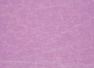 Фото - Ткани Designers Guild Arizona - 281872>