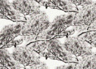 Фото - Обои Elitis Odyssey - 262132>