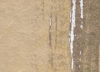 Фото - Обои Elitis Tempo - 262408>