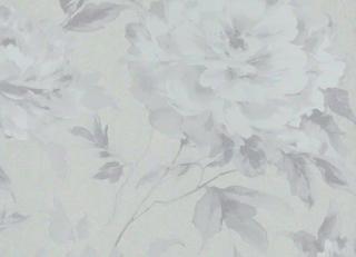 Фото - Обои Casadeco So White 3 - 557249>