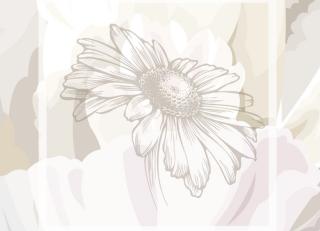 Фото - Обои Ango Linea Natural - 330827>