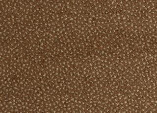 Фото - Ткани Dedar Plains - 267289>