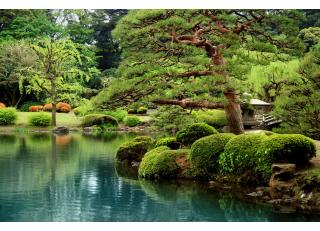 Фото - Обои Photowall Пейзажи - 298740>