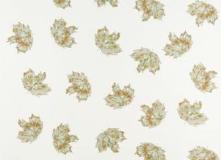 Фото - Ткани Osborne & Little Sketchbook - 446447>