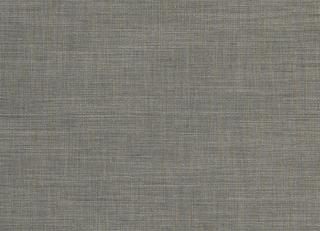 Фото - Ткани Clarke&Clarke Tussah & Seda - 362964>