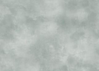 Фото - Обои для стен Sirpi - 571500>