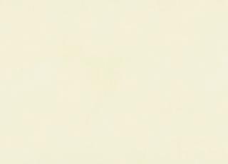 Фото - Обои Esta Home Regatta Crew - 340178>