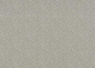 Фото - Ткани Zoffany The Muse Fabrics - 373089>