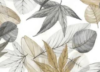 Фото - Ткани Alessandro Bini Driver - 593328>