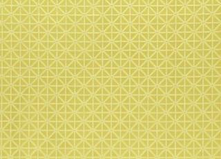 Фото - Ткани Clarke&Clarke Uzbek - 305415>