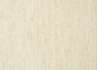 Фото - Обои Thibaut Grasscloth Resource 5 - 523902>