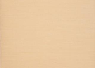 Фото - Обои Jim Thompson The Scarlet Letter - 469256>