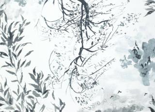 Фото - Обои Designers Guild Shanghai Garden - 250649>