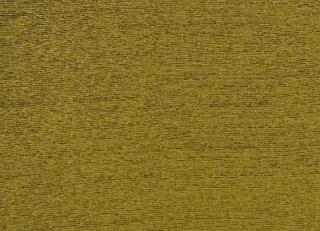 Фото - Ткани Rubelli Soie Cameleon - 494354>