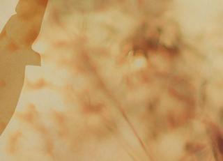 Фото - Обои Jannelli & Volpi JV141 Atelier - 516036>