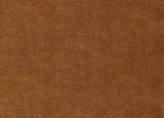 Фото - Ткани Clarke&Clarke Dawson - 530142>