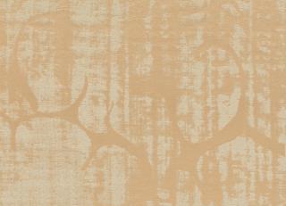 Фото - Ткани Rubelli Charme - 572516>