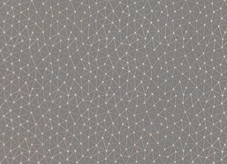 Фото - Ткани Villa Nova Leona Sheers - 418618>