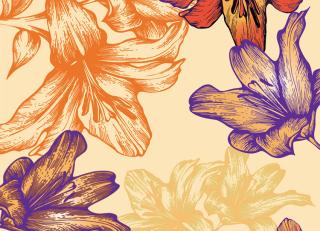 Фото - Обои Ango Linea Natural - 330863>