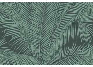 Фото - Обои Hookedonwalls Exotique - 464166>