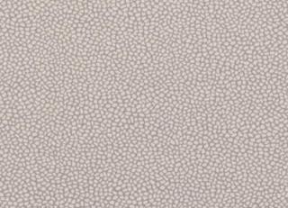 Фото - Обои G.P. and J.Baker Oleander Wallpaper - 320913>