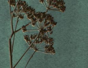 Фото - Обои Eijffinger Lino - 422609>