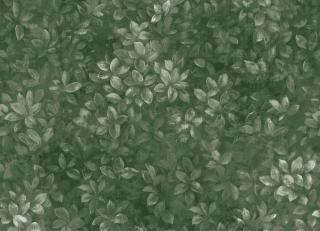 Фото - Обои Coordonne Feria - 559086>