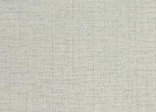 Фото - Обои Sirpi Forest - 454587>