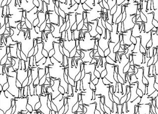 Фото - Обои Tres Tintas Hit - 197950>