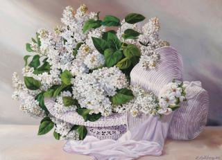 Фото - Обои Ortograf Елена Самарская - 479045>