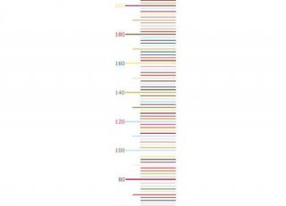 Фото - Обои Mr Perswall Hide&Seek - 234859>