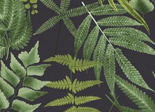 Фото - Обои Graham & Brown Explorer - 546257>