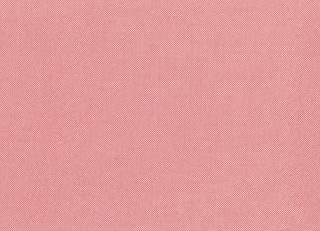 Фото - Ткани Rubelli Fiftyshades - 489408>