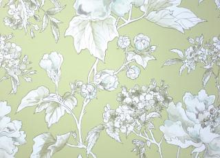 Фото - Обои Nina Campbell Woodsford - 221141>