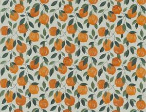 Фото - Ткани Clarke&Clarke Pomarium - 513623>