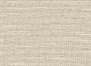 Фото - Обои Faboie Monkey World - 621035>