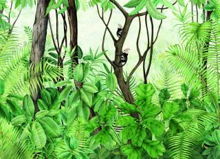 Фото - Обои Coordonne Random Archist - 580978>