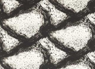 Фото - Ткани Harlequin Reflect Fabrics - 602377>