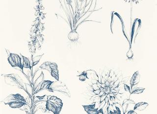 Фото - Обои Clarke&Clarke Secret Garden Wallpaper - 600181>