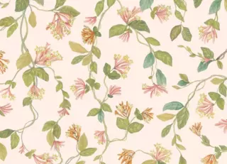 Фото - Обои Cole & Son Selection of Hummingbirds - 626737>