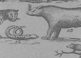 Фото - Обои Andrew Martin Museum - 243771>