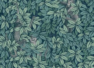 Фото - Обои Cole & Son Fornasetti Senza Tempo II - 626715>