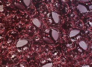 Фото - Обои Giardini I Giardini delle Meraviglie - 256012>