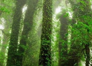 Фото - Обои Mr Perswall Destinations - 235175>