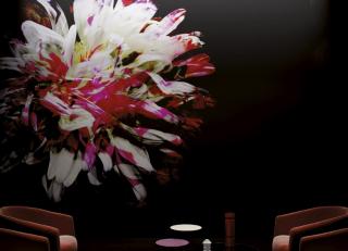 Фото - Обои Glamora Studio 54 - 400995>