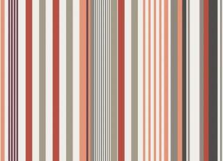 Фото - Ткани Alessandro Bini Driver - 593344>