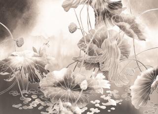 Фото - Обои Ortograf Grafika Natura - 477035>