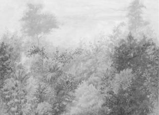 Фото - Обои Loymina Landscape - 552105>