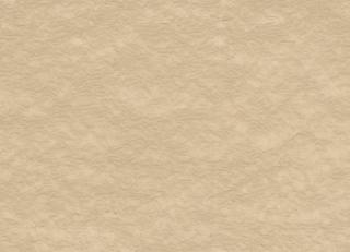 Фото - Ткани Misia Obsidienne - 414317>