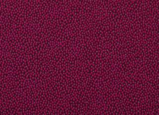 Фото - Ткани Clarke&Clarke Cesare - 295900>